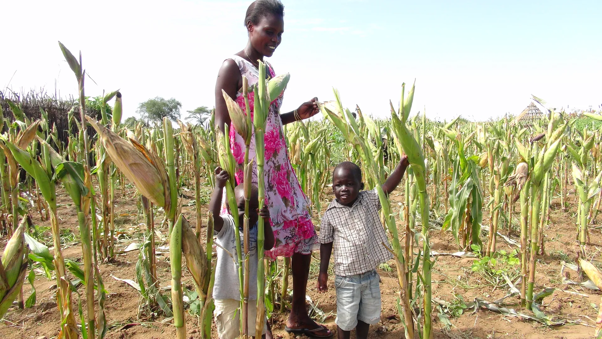 Economic Shocks in Africa
